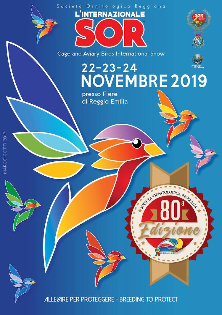 Internacional Reggio Emilia 2019